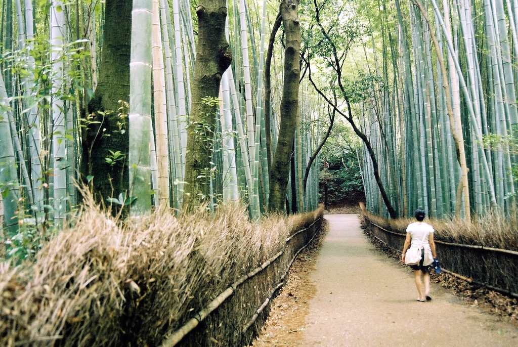 Insomniac's Wolverine: 189,589 photos of Japan — 3D on Backdrop